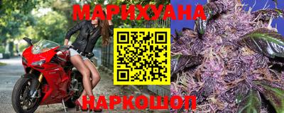 гашик Новокубанск