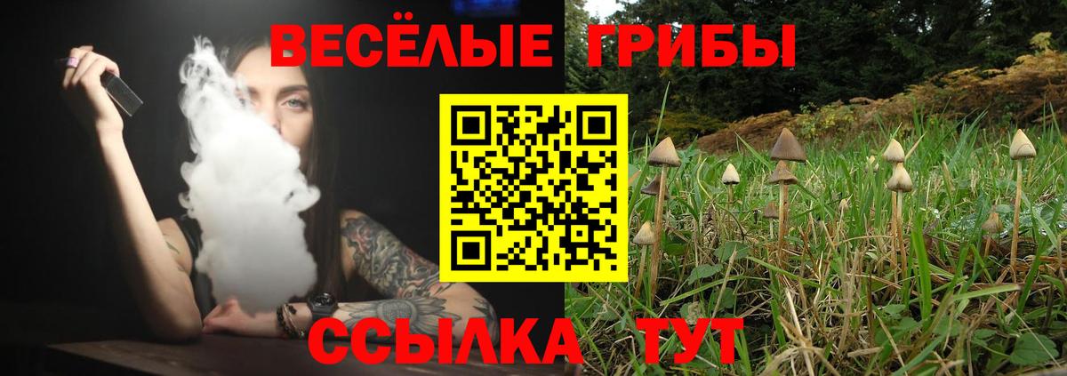 Галлюциногенные грибы Psilocybine cubensis Сосновый Бор